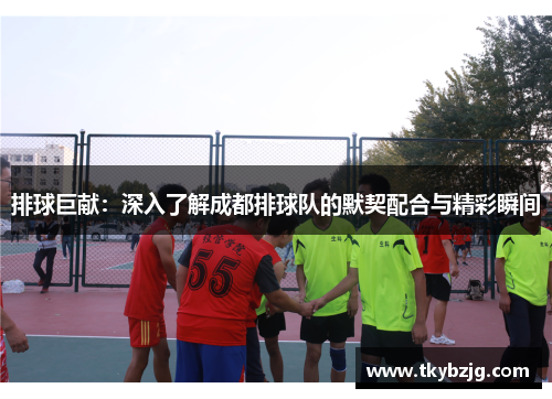 排球巨献：深入了解成都排球队的默契配合与精彩瞬间
