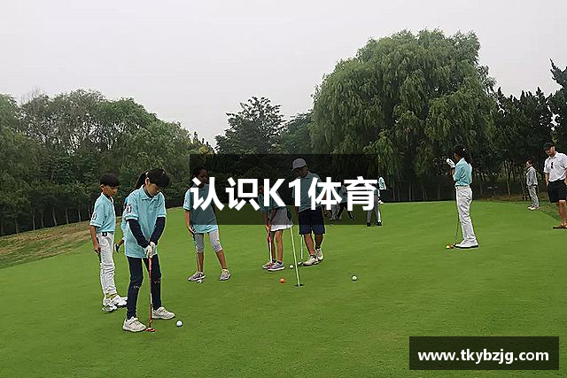 认识K1体育